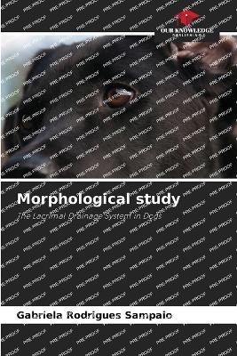 Morphological study - Gabriela Rodrigues Sampaio