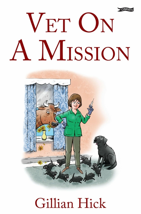 Vet On A Mission -  Gillian Hick