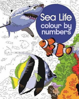 Sea Life Colour by Numbers - David Woodroffe