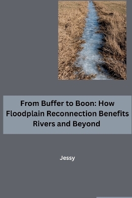 From Buffer to Boon: How Floodplain Reconnection Benefits Rivers and Beyond -  Jessy