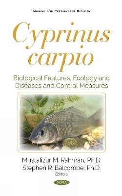 Cyprinus carpio - 