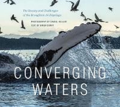 Converging Waters - Gwen Curry
