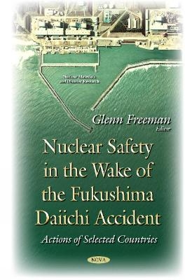Nuclear Safety in the Wake of the Fukushima Daiichi Accident - 