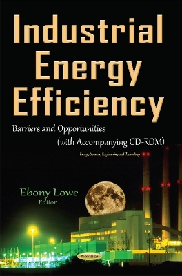 Industrial Energy Efficiency - 