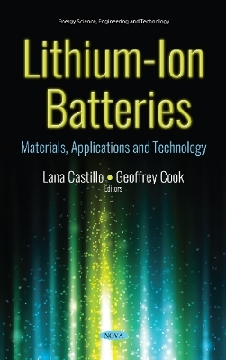 Lithium-Ion Batteries - 