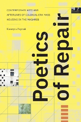 Poetics of Repair - Katarzyna Pieprzak