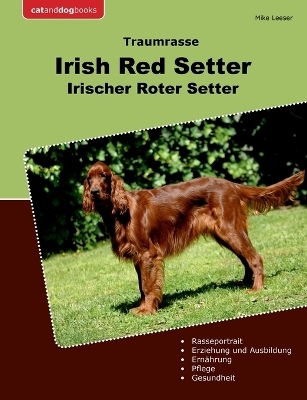 Traumrasse Irish Red Setter - Mike Leeser