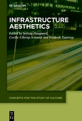 Infrastructure Aesthetics - 