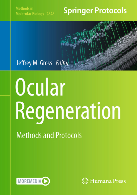 Ocular Regeneration - 