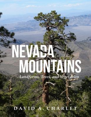 Nevada Mountains - David Alan Charlet