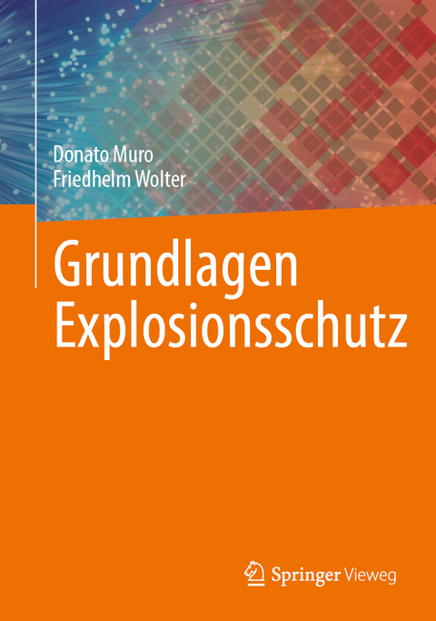 Grundlagen Explosionsschutz - Donato Muro, Friedhelm Wolter