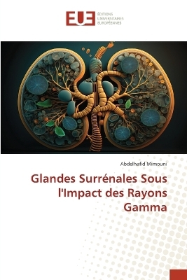 Glandes Surr�nales Sous l'Impact des Rayons Gamma - Abdelhafid Mimouni