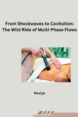 From Shockwaves to Cavitation: The Wild Ride of Multi-Phase Flows -  Naviya