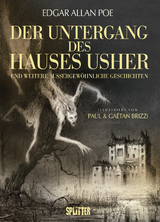 Der Untergang des Hauses Usher (illustrierter Roman) - Edgar Allan Poe