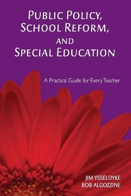 Public Policy, School Reform, and Special Education - James E. Ysseldyke, Bob Algozzine