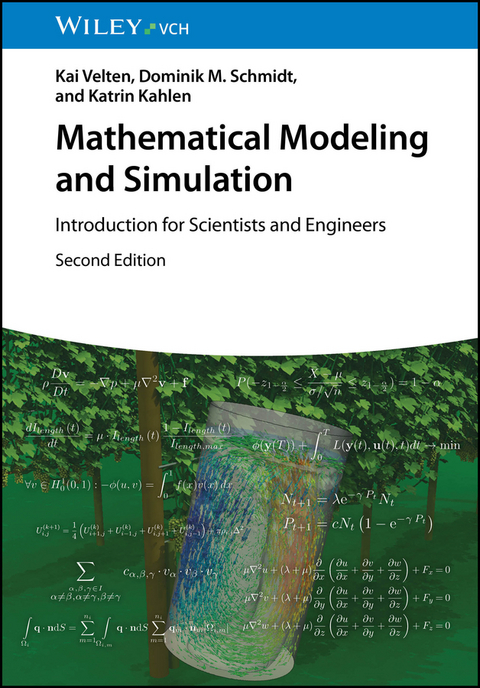 Mathematical Modeling and Simulation - Kai Velten, Dominik M. Schmidt, Katrin Kahlen