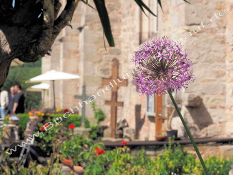 Ansichtskarte Bad Sooden-Allendorf:Bibelgarten St. Crucis-Kirche