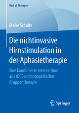 Die nichtinvasive Hirnstimulation in der Aphasietherapie - Meike Schulte