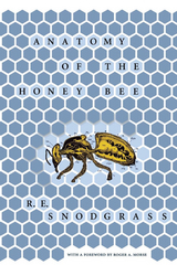 Anatomy of the Honey Bee -  R. E. Snodgrass