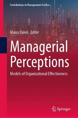 Managerial Perceptions - 