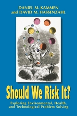 Should We Risk It? - Daniel M. Kammen, David M. Hassenzahl