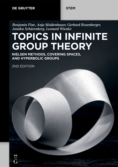 Topics in Infinite Group Theory - Benjamin Fine, Anja Moldenhauer, Gerhard Rosenberger, Annika Schürenberg, Leonard Wienke