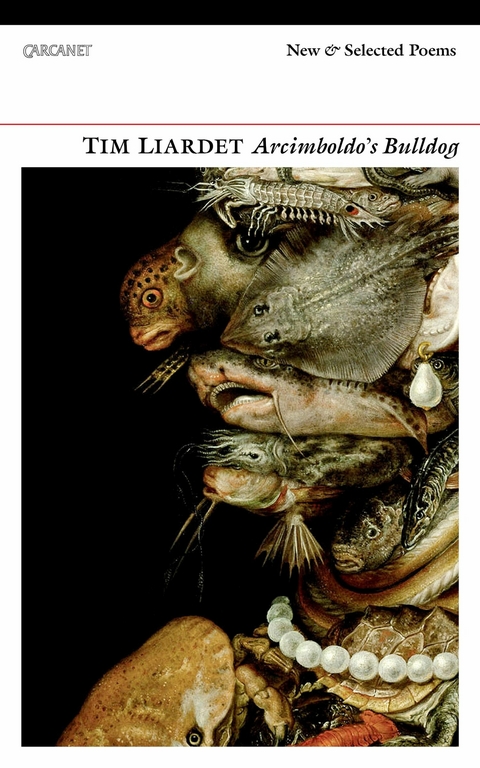 Arcimboldo's Bulldog -  Tim Liardet