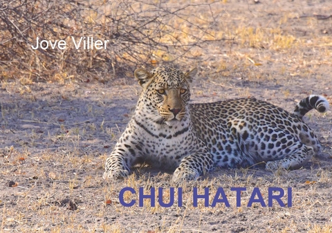 CHUI HATARI - Jove Viller