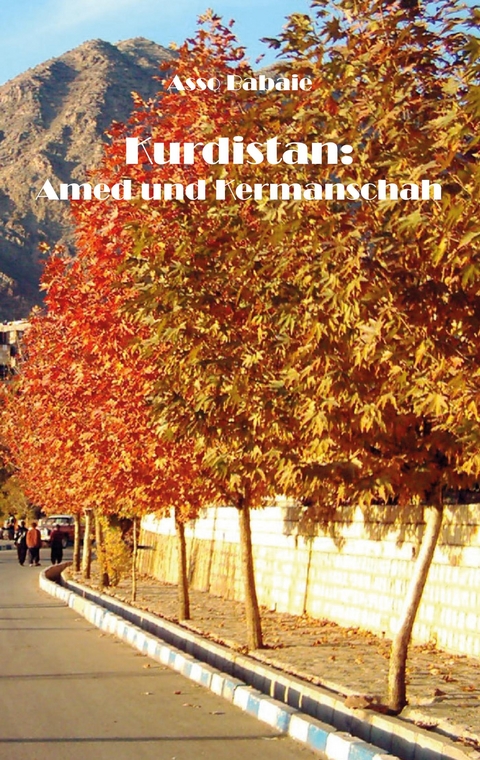 Kurdistan: Amed und Kermanschah - Asso Babaie