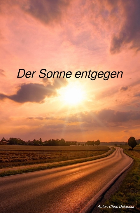 Der Sonne entgegen - Christoph Schäkel