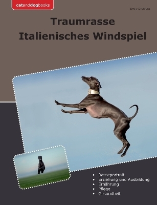 Traumrasse Italienisches Windspiel - Emily Druhfuss