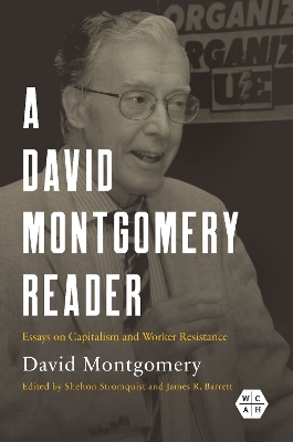 A David Montgomery Reader - David Montgomery