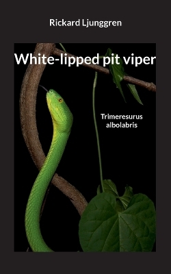 White-lipped pit viper - Rickard Ljunggren