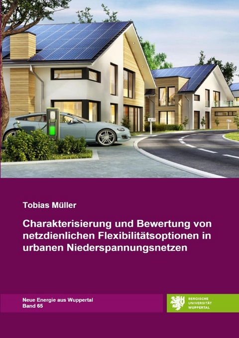 Neue Energie aus Wuppertal / Charakterisierung und Bewertung von netzdienlichen Flexibilitätsoptionen in urbanen Niederspannungsnetzen - Tobias Müller