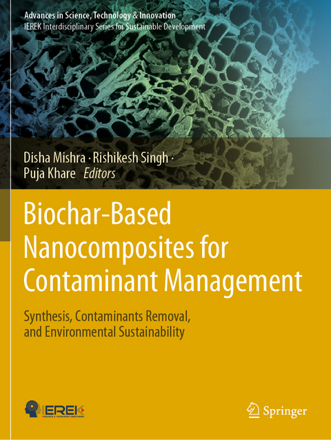 Biochar-Based Nanocomposites for Contaminant Management - 