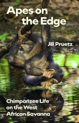 Apes on the Edge - Jill Pruetz