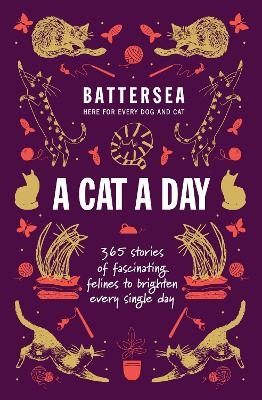 Battersea Dogs and Cats Home - A Cat a Day - Battersea Dogs and Cats Home