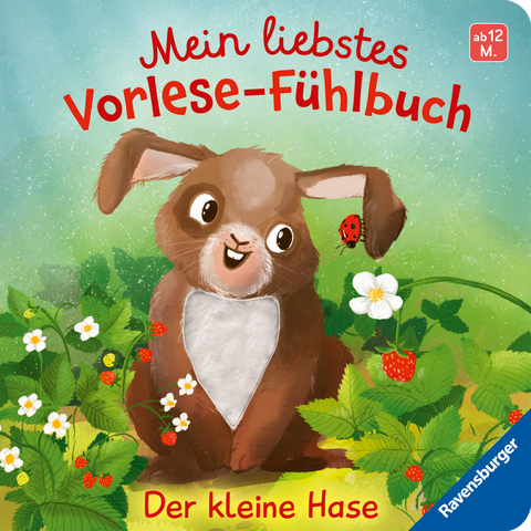 Mein liebstes Vorlese-Fühlbuch: Der kleine Hase. Ein erstes Buch mit kuscheligen Fühlteilen - Maria Höck