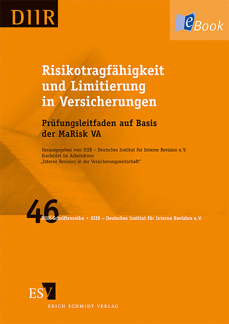 Risikotragfähigkeit und Limitierung in Versicherungen