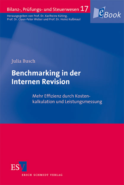 Benchmarking in der Internen Revision - Julia Busch