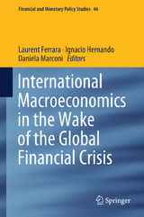 International Macroeconomics in the Wake of the Global Financial Crisis - 