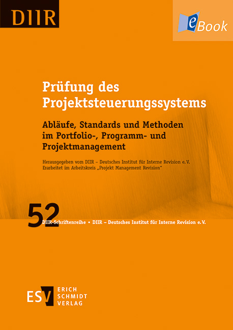 Prüfung des Projektsteuerungssystems - 