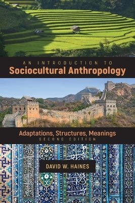 An Introduction to Sociocultural Anthropology - David Haines