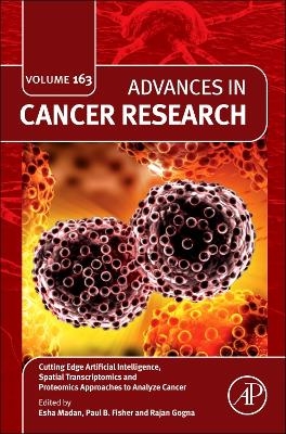 Cutting Edge Artificial Intelligence, Spatial Transcriptomics and Proteomics Approaches to Analyze Cancer - 