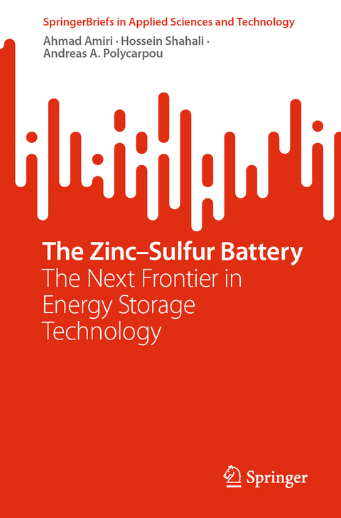 The Zinc–Sulfur Battery - Ahmad Amiri, Hossein Shahali, Andreas A. Polycarpou