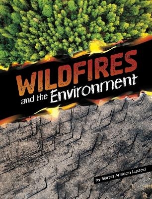 Wildfires and the Environment - Marcia Amidon Lusted