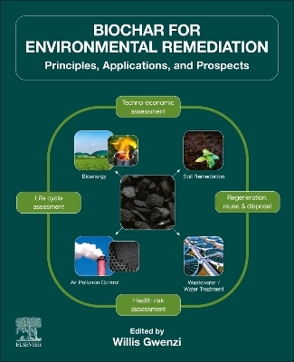 Biochar for Environmental Remediation - 