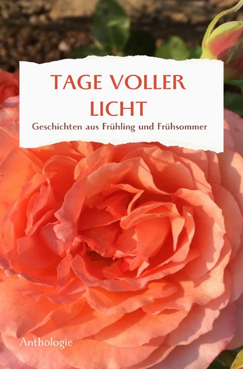 Monatsgeschichten / TAGE VOLLER LICHT - Margit Thürauf, Christine Hagelkrüys, Leonore Michaelis, Ilona Weinrich, Anneliese Naser