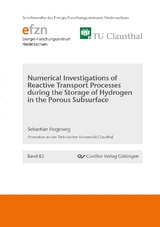 Numerical Investigations of Reactive Transport Processes during the Storage of Hydrogen in the Porous Subsurface - Sebastian Hogeweg