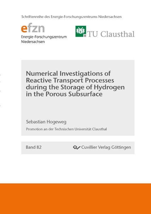 Numerical Investigations of Reactive Transport Processes during the Storage of Hydrogen in the Porous Subsurface - Sebastian Hogeweg